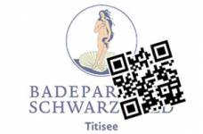 E-billet BADEPARADIES GALAXY AVEC CHAISE LONGUE SIMPLE - SCHWARZWALD JOURNEE (Titsee-Neustadt - Allemagne)
