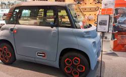 Ami voiture sans permis
