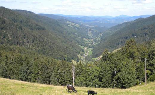 5. Vue du Col des Bachenelles web