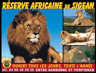 Réserve Africaine Adulte (Sigean)