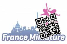 E-billet France Miniature (Elancourt)
