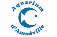 Aquarium Amnéville Adulte