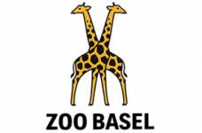 Zoo de Bâle Enfant (Suisse)