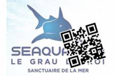 E-billet SEAQUARIUM ENFANT (5-15 ans)