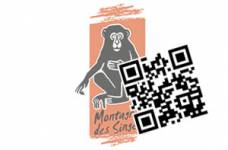 E-billet La Montagne des Singes Adulte (Kintzheim)