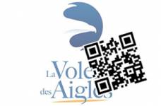 E-billet Volerie des Aigles Adulte (Kintzheim)