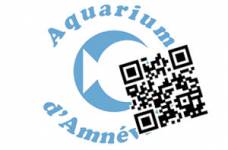 E-billet Aquarium Amnéville Adulte