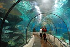 Aquarium Barcelona Enfant (Barcelone - Espagne)