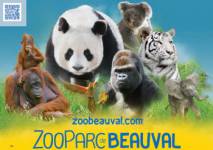 Zooparc de Beauval Enfant (Saint-Aignan sur Cher)