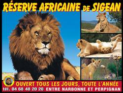 Réserve Africaine Adulte (Sigean)