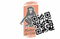 E-billet La Montagne des Singes Enfant (Kintzheim)