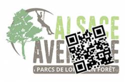 E-billet Alsace Aventure - Adulte (Breitenbach/Ostwald)